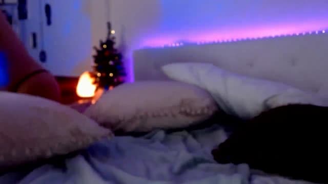 Gallery image thumbnail from indie's myfreecams stream on, 12/23/2024, 13:09 image 18 of 20