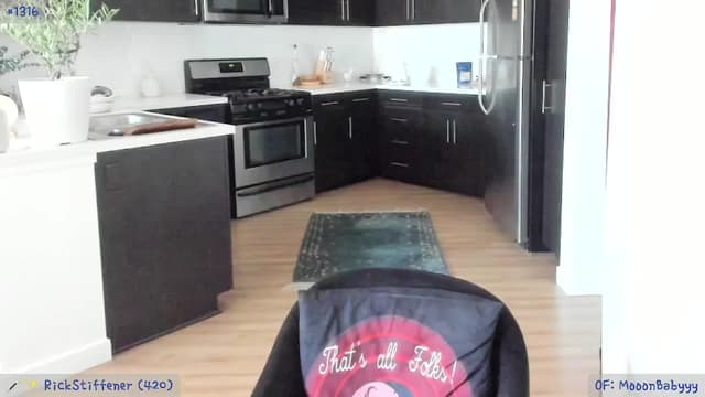 Gallery image thumbnail from litty's myfreecams stream on, 07/02/2024, 03:17 image 1 of 20
