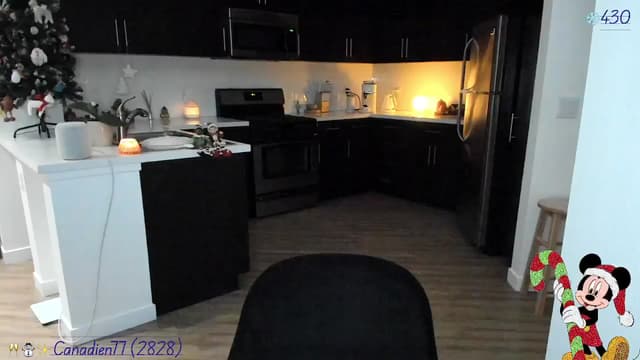 Gallery image thumbnail from litty's myfreecams stream on, 12/24/2024, 06:07 image 14 of 20