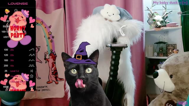 Gallery image thumbnail from meows's myfreecams stream on, 09/23/2023, 06:09 image 8 of 20