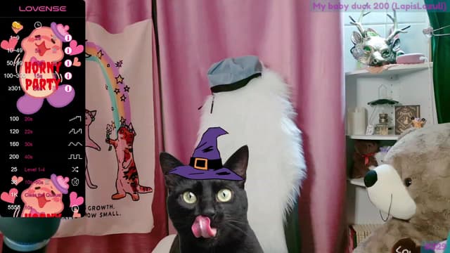 Gallery image thumbnail from meows's myfreecams stream on, 09/23/2023, 06:09 image 10 of 20