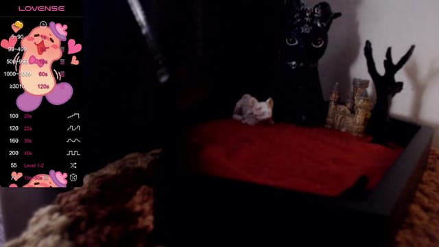 Gallery image thumbnail from meows's myfreecams stream on, 10/22/2023, 05:10 image 2 of 20