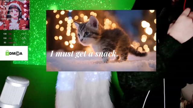 Gallery image thumbnail from meows's myfreecams stream on, 12/10/2023, 05:43 image 20 of 20