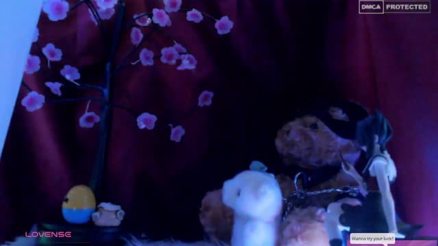 Gallery image thumbnail from meows's myfreecams stream on, 04/20/2024, 04:57 image 5 of 20