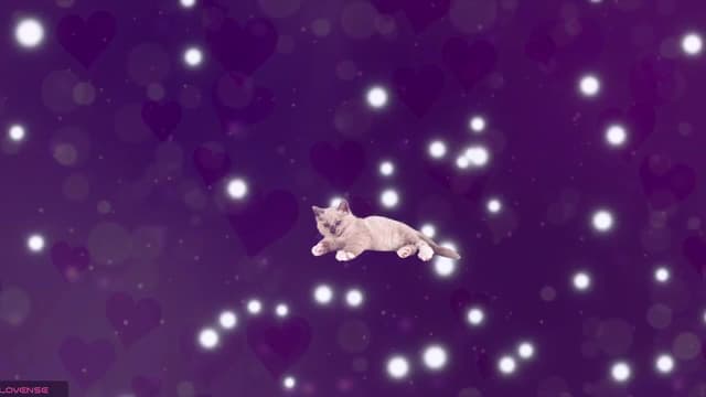 Gallery image thumbnail from meows's myfreecams stream on, 08/10/2024, 05:28 image 2 of 20