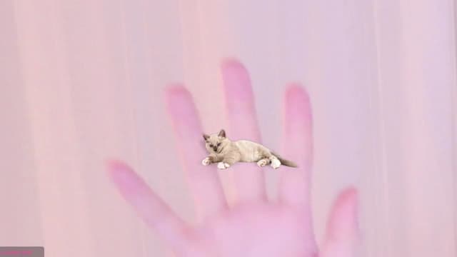 Gallery image thumbnail from meows's myfreecams stream on, 08/10/2024, 05:28 image 3 of 20