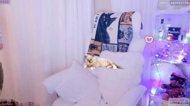 Gallery image thumbnail from meows's myfreecams stream on, 08/10/2024, 05:28 image 5 of 20