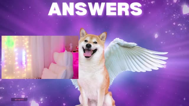 Gallery image thumbnail from meows's myfreecams stream on, 12/01/2024, 06:35 image 1 of 20