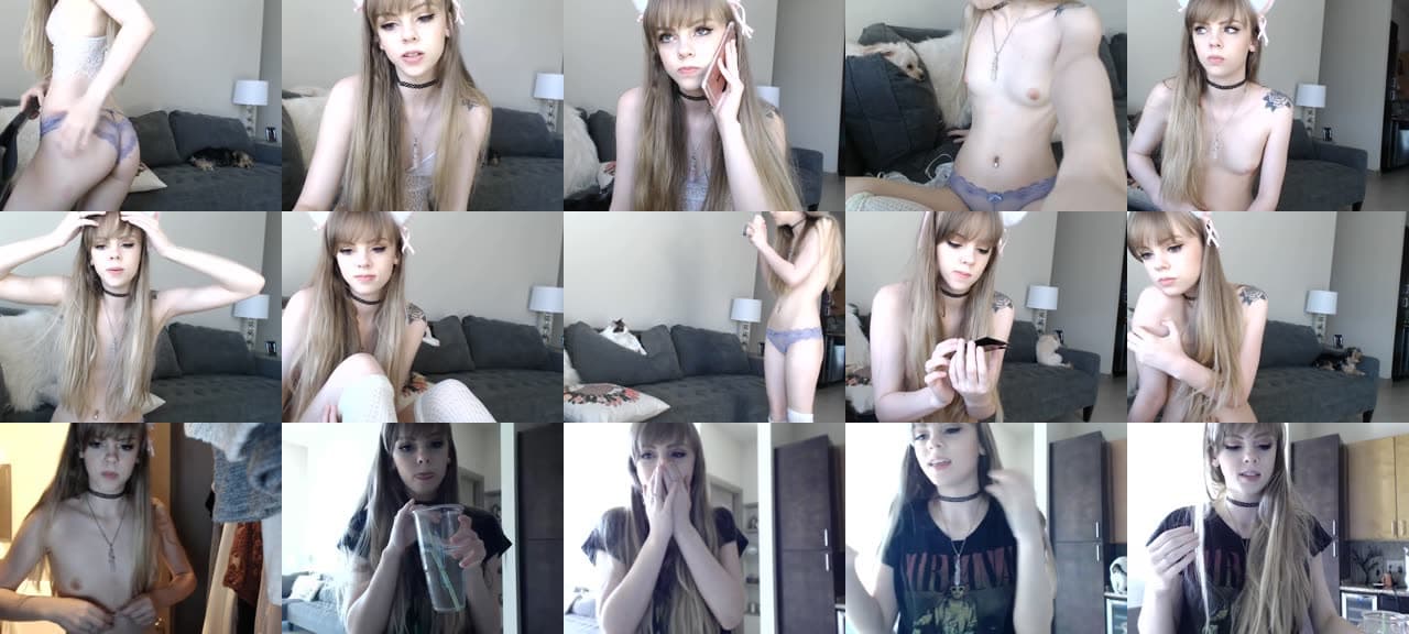 Kitten-MFC-201609222055_m.jpg