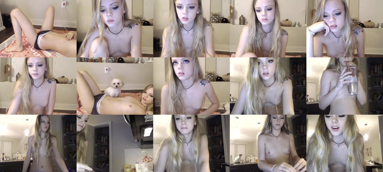 Kitten_xx-MFC-201511030453_m.jpg