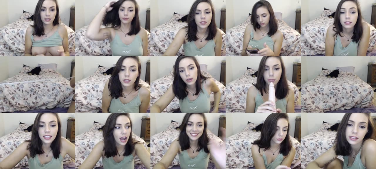 smttenkitten-MFC-201710110209_m.jpg