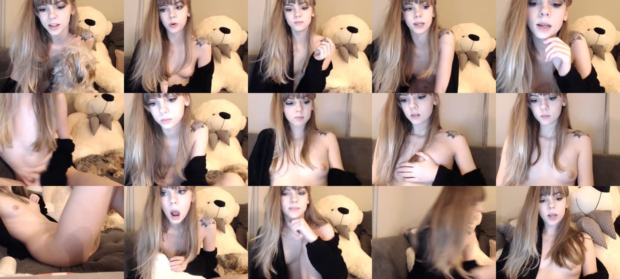 Kitten-MFC-201704010754_m.jpg