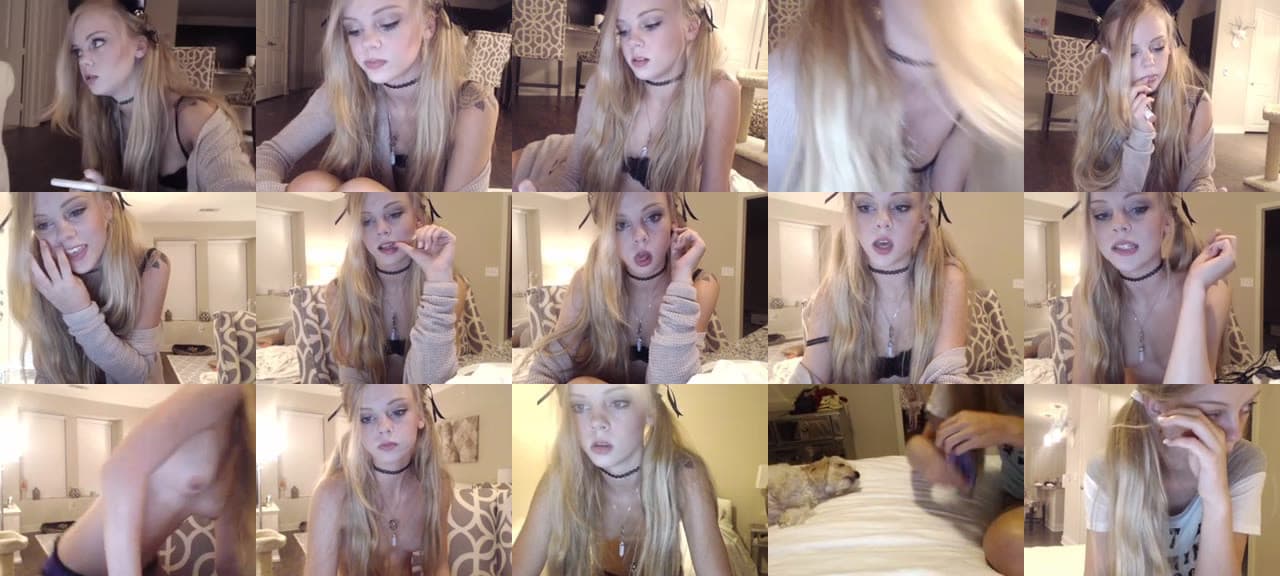 Kitten_xx-MFC-201508180224_m.jpg