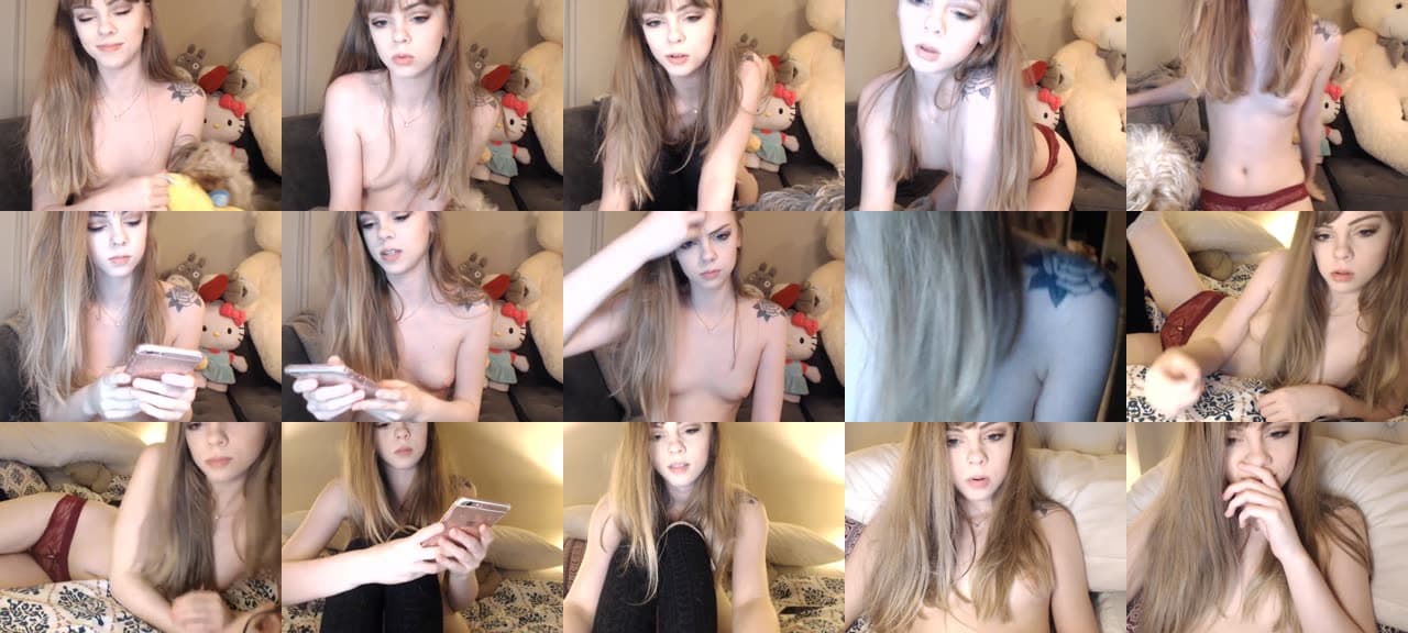 Kitten-MFC-201704300331_m.jpg