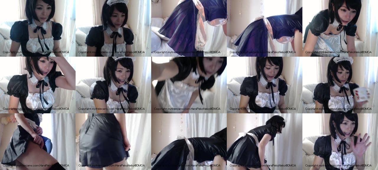 HaraPekoNeko-MFC-201604120427_m.jpg