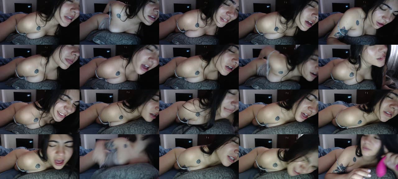 Kuma_cam-MFC-202205071627_m.jpg