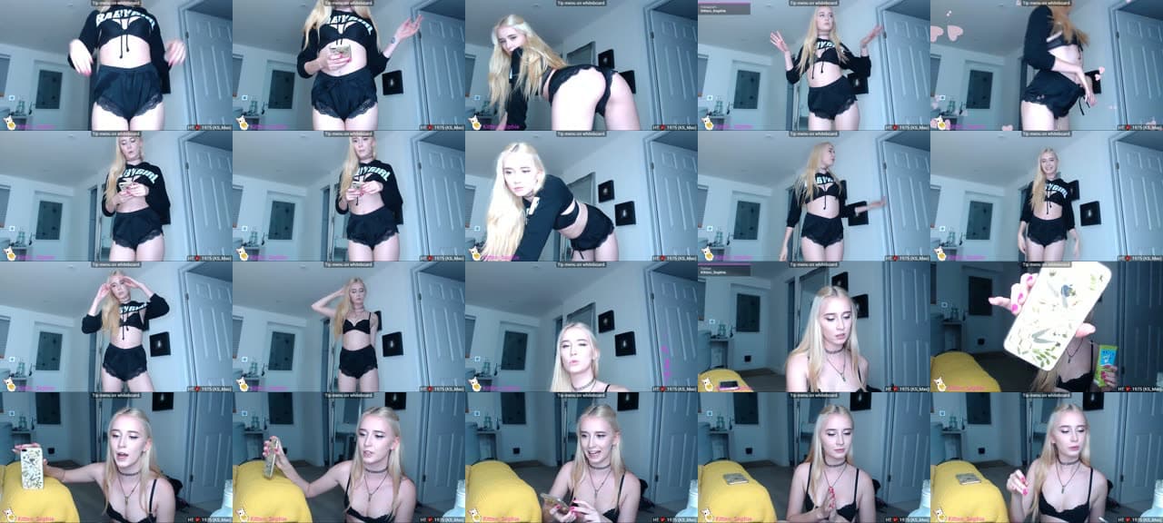 Kitten_Sophie-MFC-201908090808_m.jpg