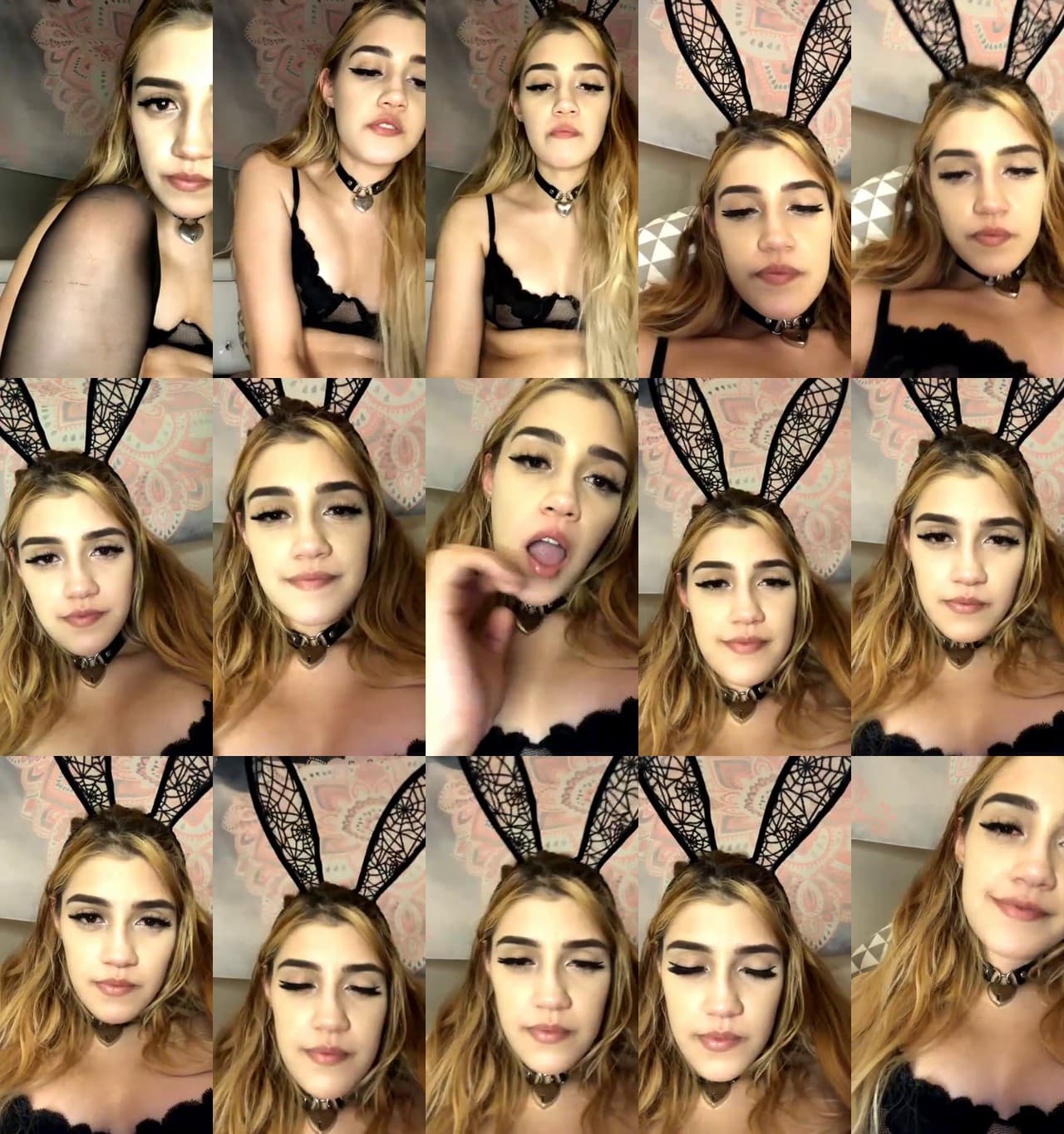Alliecat001-MFC-202010140817_m.jpg