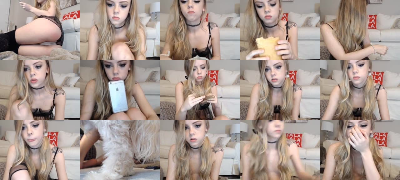 Kitten_xx-MFC-201512020256_m.jpg