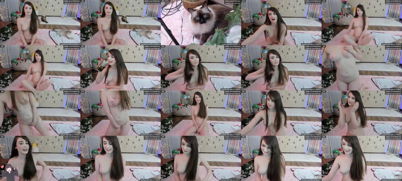 Kitty-MFC-202012130437_m.jpg