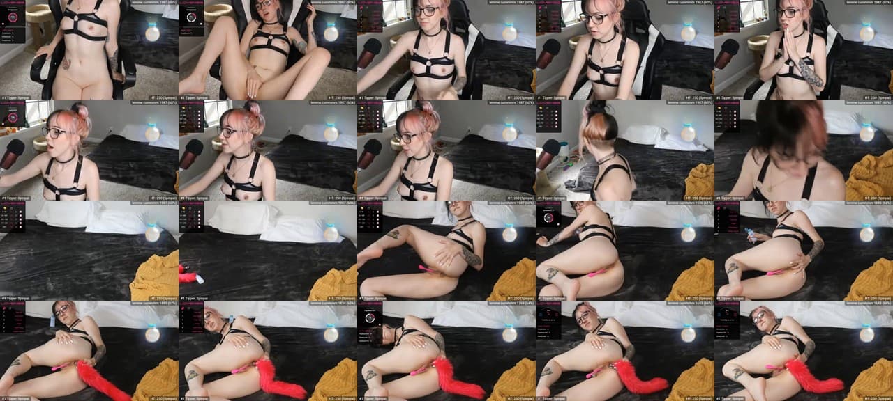 wowSpaceKatz-MFC-202106012052_m.jpg