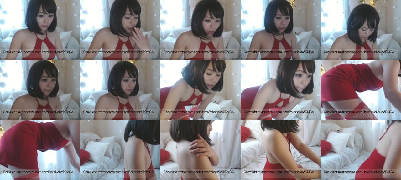 HaraPekoNeko-MFC-201512250137_m.jpg