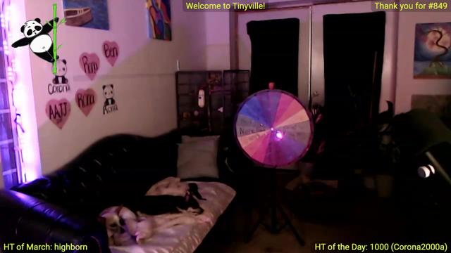 Gallery image thumbnail from ATinyCassie's myfreecams stream on, 03/17/2024, 05:00 image 8 of 20