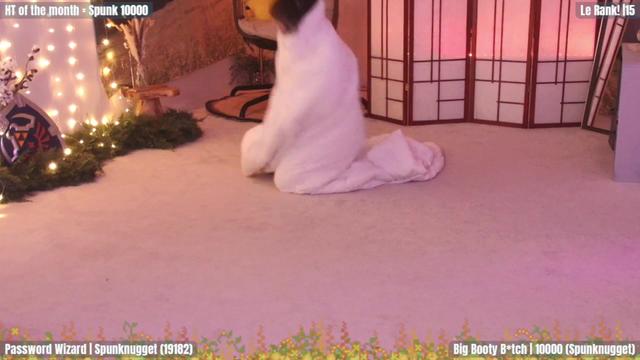 Gallery image thumbnail from GuestWIFI's myfreecams stream on, 02/02/2024, 05:09 image 2 of 20