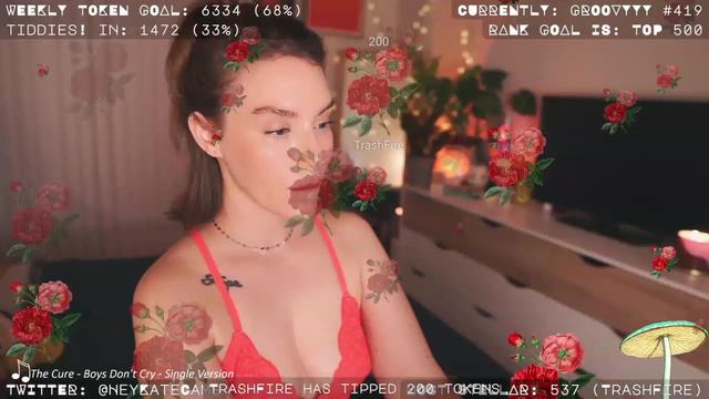 Gallery image thumbnail from HeyKate's myfreecams stream on, 03/25/2023, 03:53 image 15 of 20
