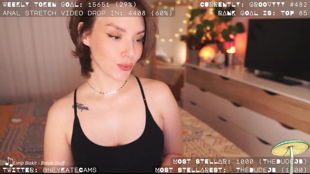 Gallery image thumbnail from HeyKate's myfreecams stream on, 04/22/2023, 05:20 image 8 of 20