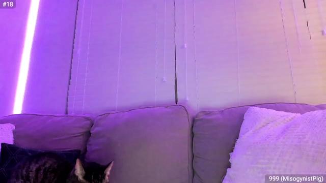 Gallery image thumbnail from Misos_Gray's myfreecams stream on, 03/27/2023, 06:04 image 18 of 20