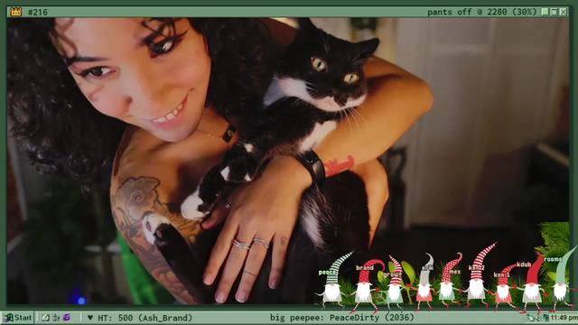 Gallery image thumbnail from TERRA's myfreecams stream on, 12/10/2022, 05:02 image 20 of 20