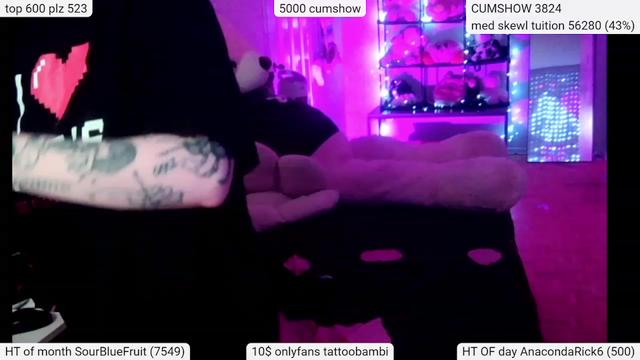 Gallery image thumbnail from Tattoobambi's myfreecams stream on, 03/12/2024, 06:08 image 4 of 20