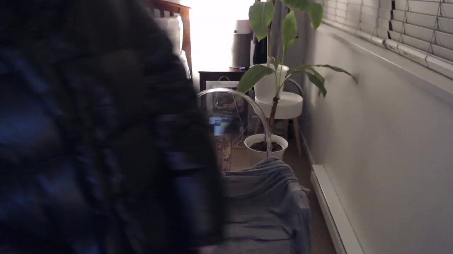 Gallery image thumbnail from AAAAAGHHHHHHH's myfreecams stream on, 12/02/2022, 02:57 image 4 of 20