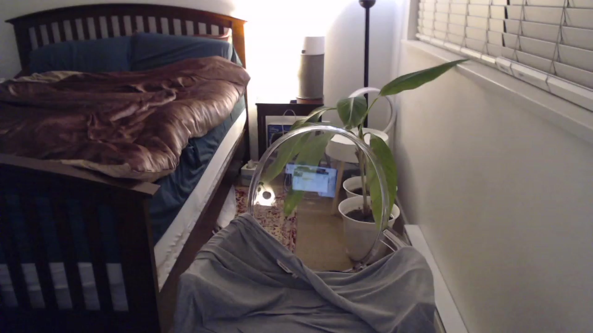 Gallery image thumbnail from AAAAAGHHHHHHH's myfreecams stream on, 12/20/2022, 04:39 image 5 of 20