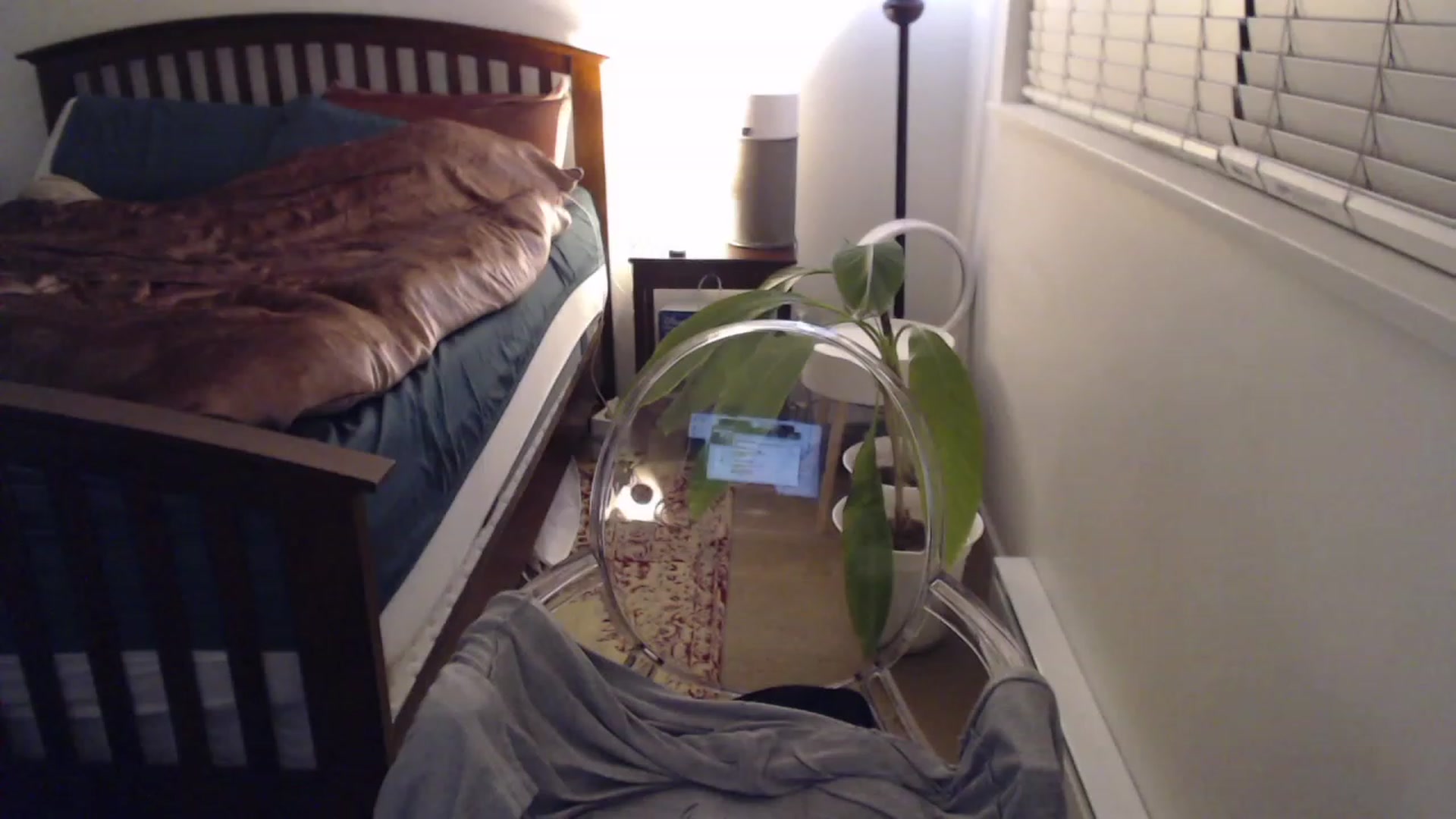 Gallery image thumbnail from AAAAAGHHHHHHH's myfreecams stream on, 12/28/2022, 03:46 image 2 of 20