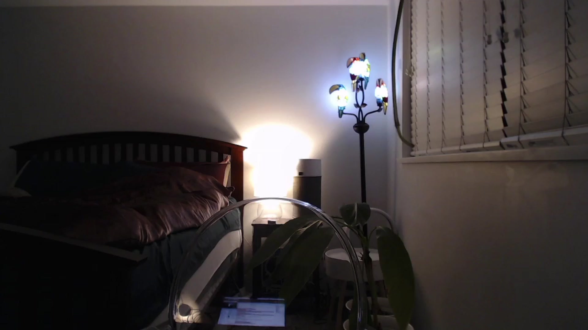 Gallery image thumbnail from AAAAAGHHHHHHH's myfreecams stream on, 12/28/2022, 05:27 image 6 of 20