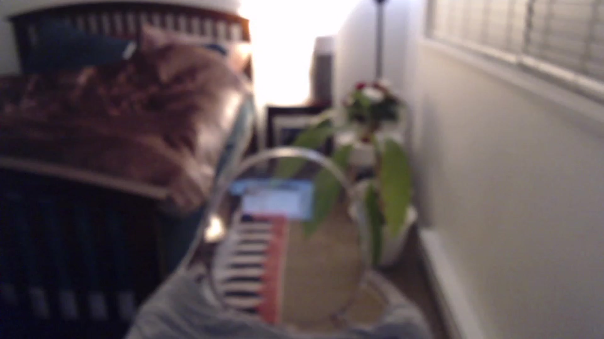 Gallery image thumbnail from AAAAAGHHHHHHH's myfreecams stream on, 01/06/2023, 04:33 image 6 of 20