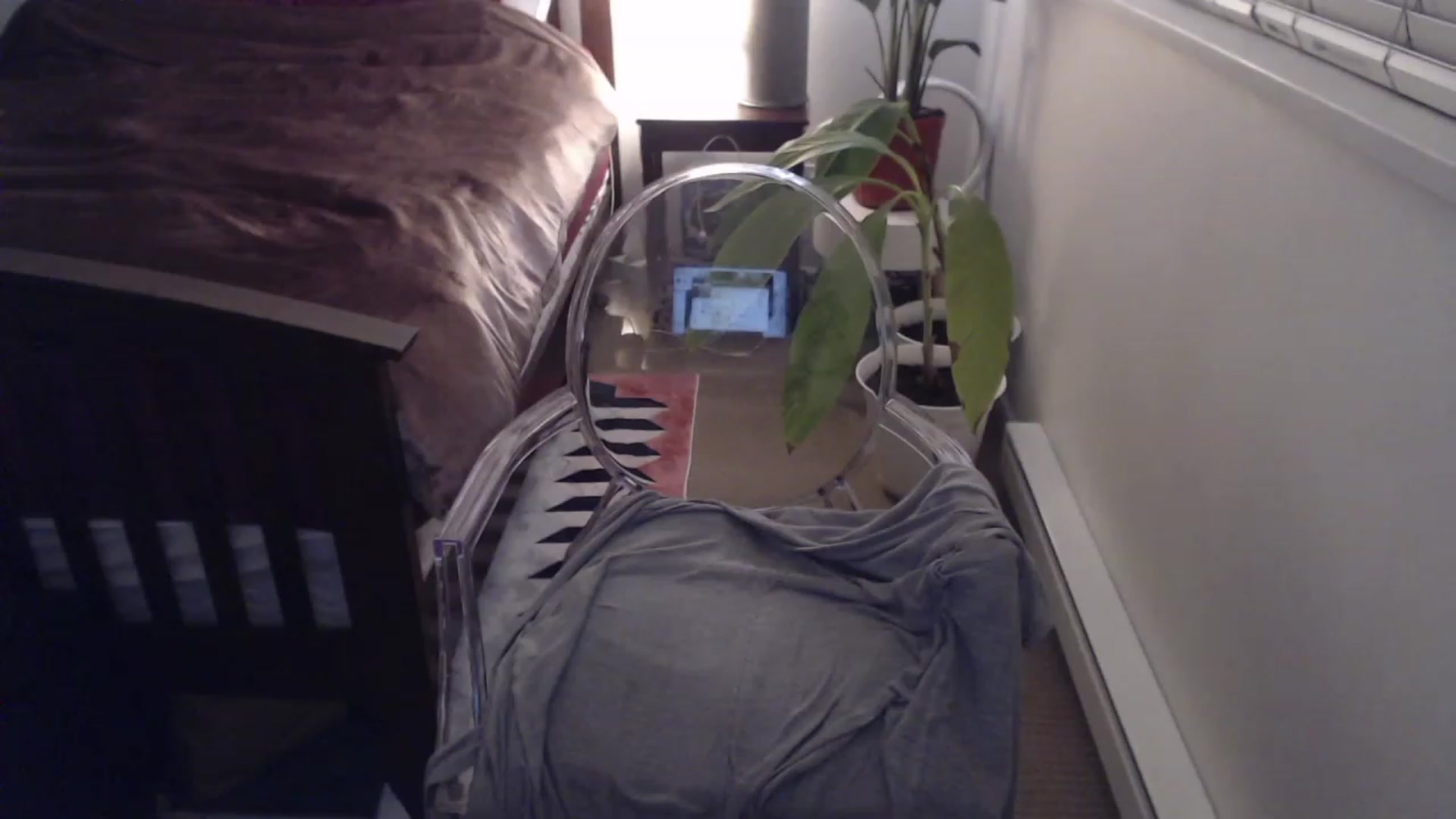 Gallery image thumbnail from AAAAAGHHHHHHH's myfreecams stream on, 01/23/2023, 04:26 image 5 of 20