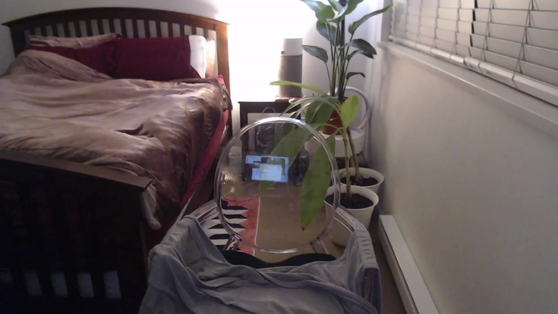 Gallery image thumbnail from AAAAAGHHHHHHH's myfreecams stream on, 02/12/2023, 03:54 image 19 of 20