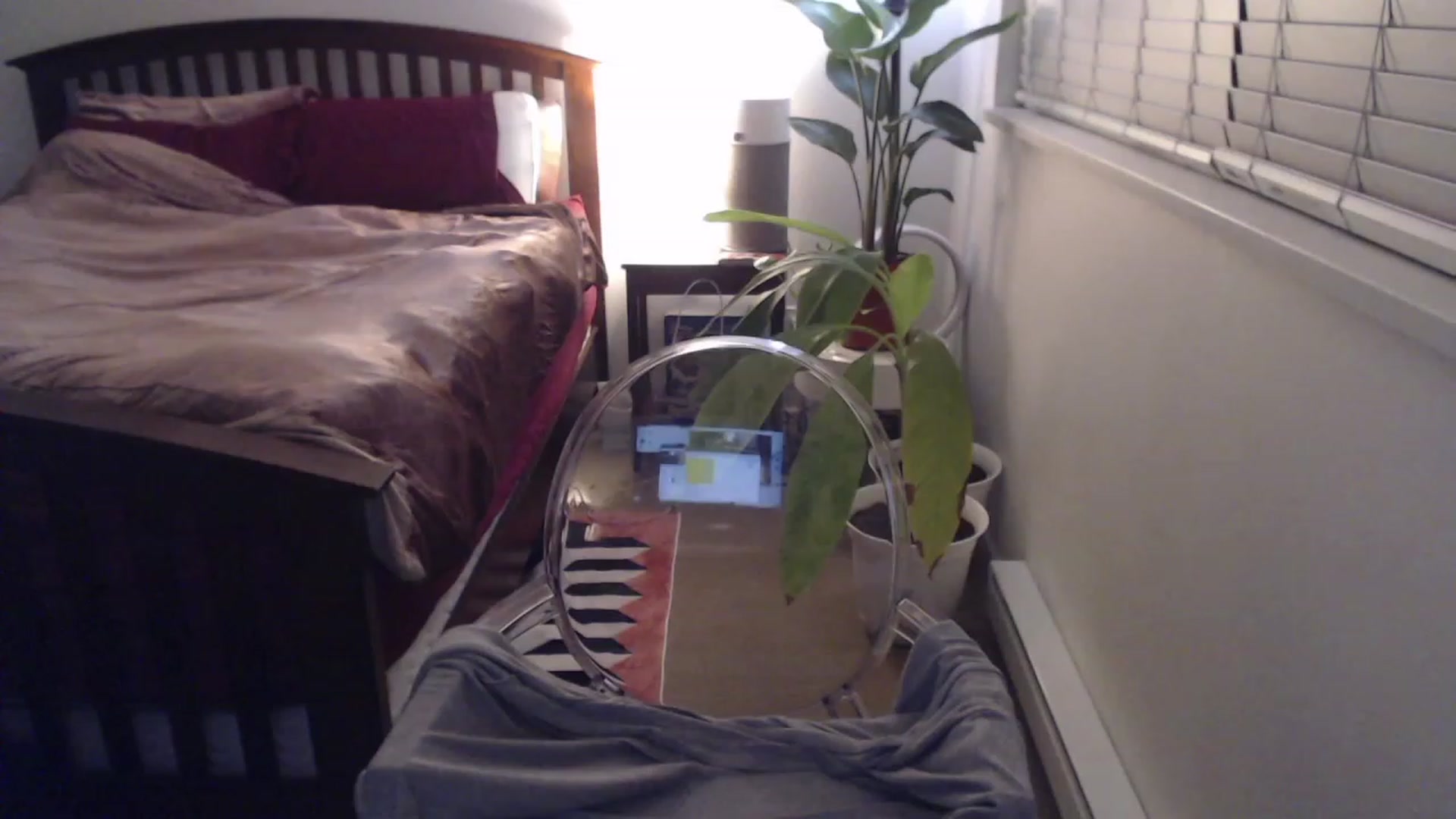Gallery image thumbnail from AAAAAGHHHHHHH's myfreecams stream on, 02/12/2023, 03:54 image 3 of 20