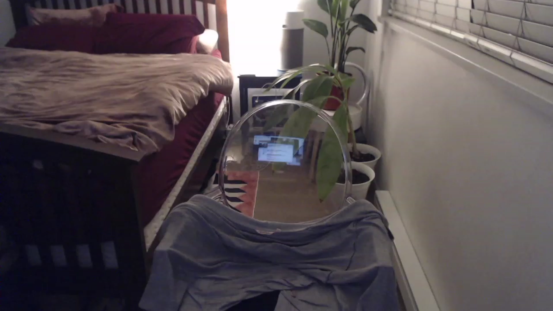 Gallery image thumbnail from AAAAAGHHHHHHH's myfreecams stream on, 03/03/2023, 04:44 image 3 of 20