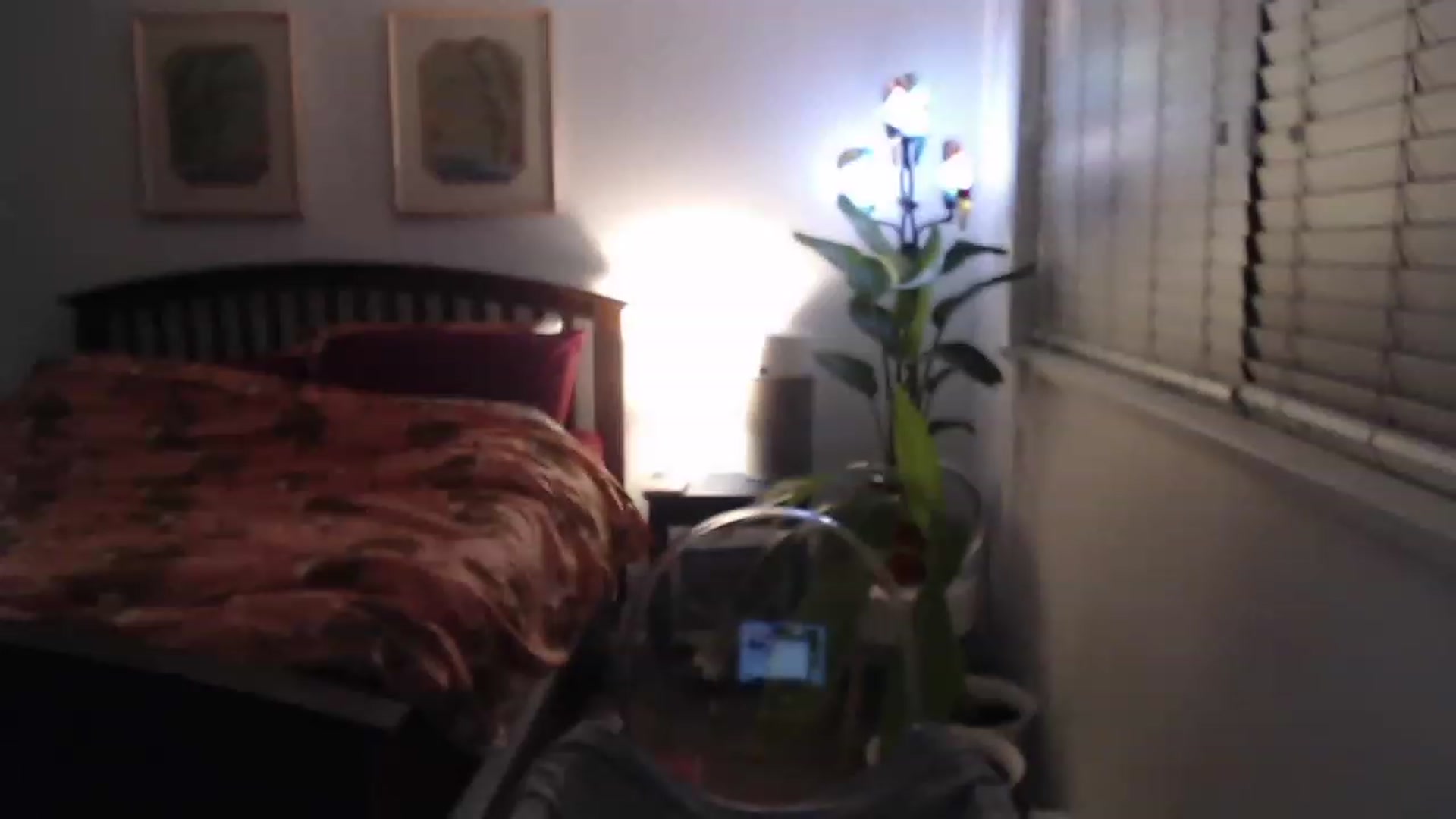 Gallery image thumbnail from AAAAAGHHHHHHH's myfreecams stream on, 03/15/2023, 04:27 image 9 of 20