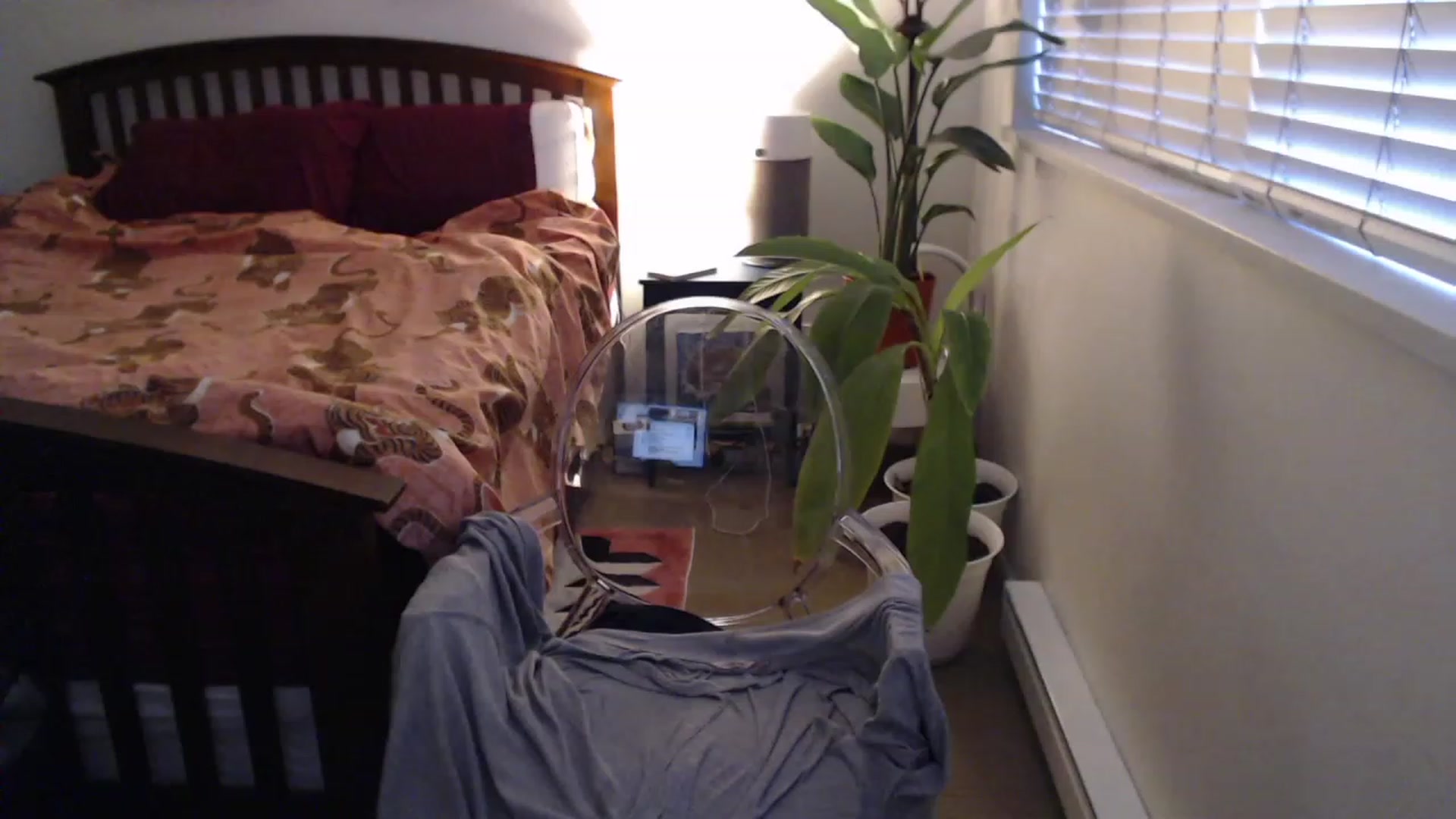 Gallery image thumbnail from AAAAAGHHHHHHH's myfreecams stream on, 04/17/2023, 02:45 image 20 of 20
