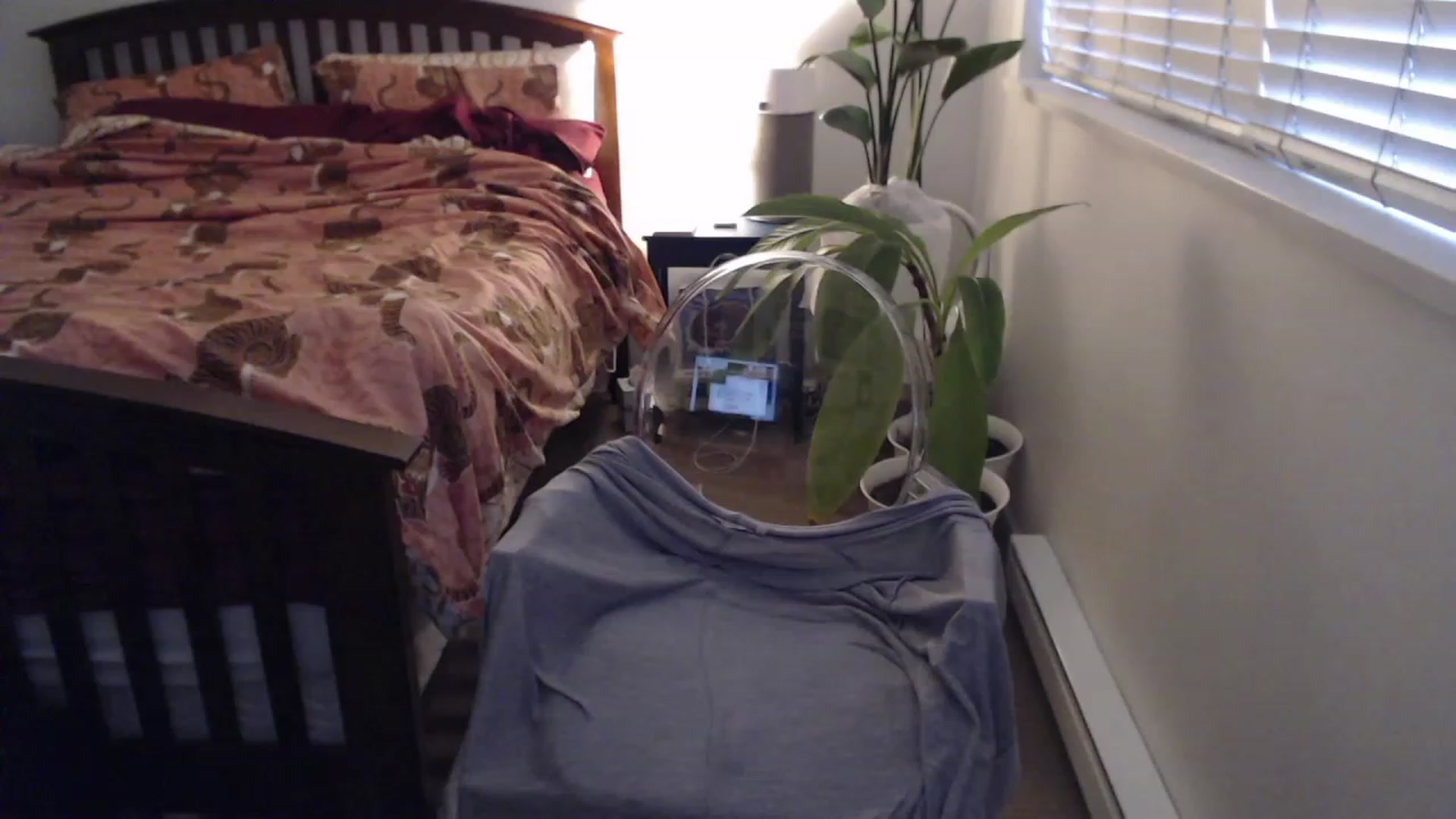 Gallery image thumbnail from AAAAAGHHHHHHH's myfreecams stream on, 04/26/2023, 03:21 image 7 of 20
