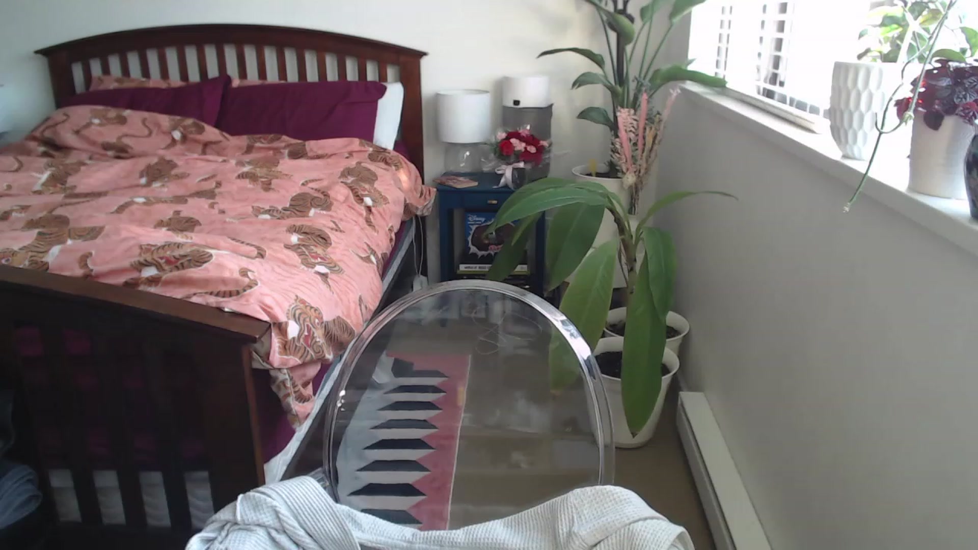 Gallery image thumbnail from AAAAAGHHHHHHH's myfreecams stream on, 05/20/2023, 03:12 image 10 of 20