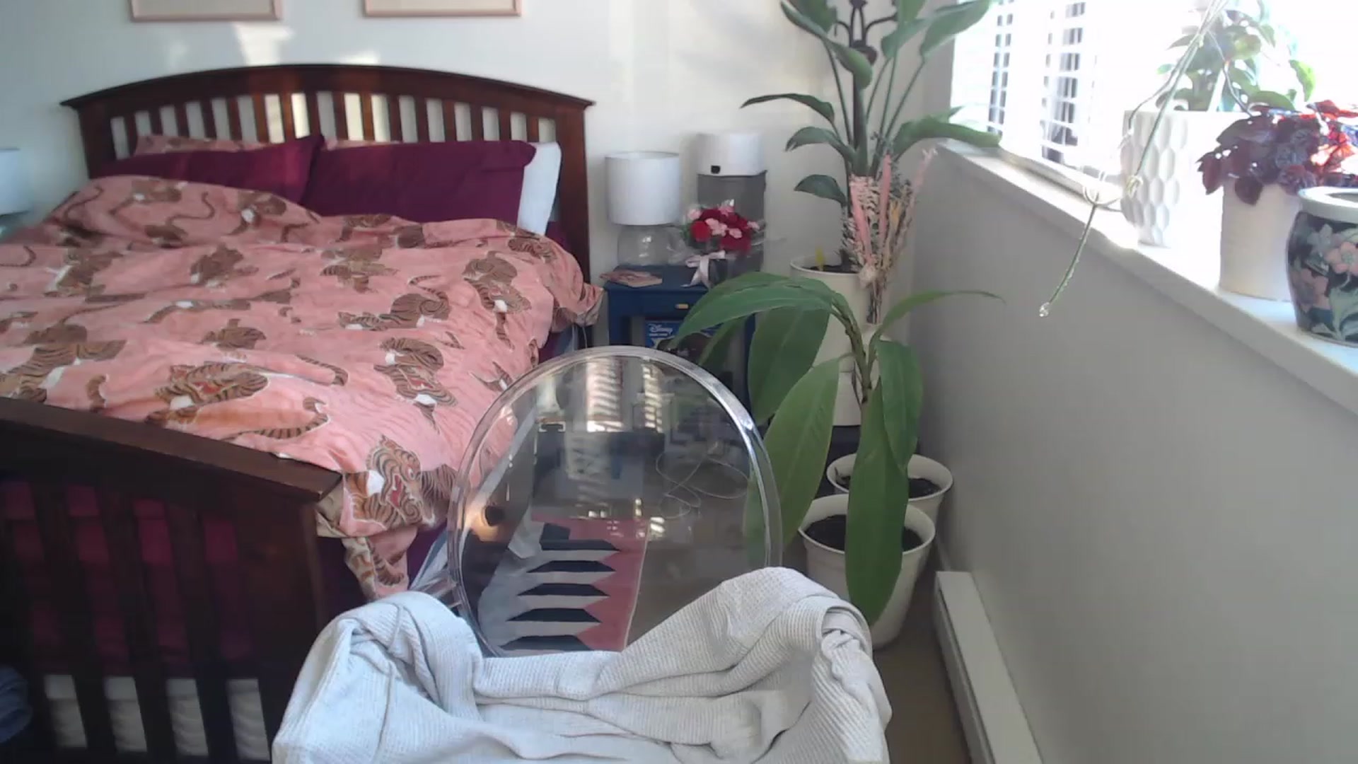 Gallery image thumbnail from AAAAAGHHHHHHH's myfreecams stream on, 05/20/2023, 03:12 image 20 of 20