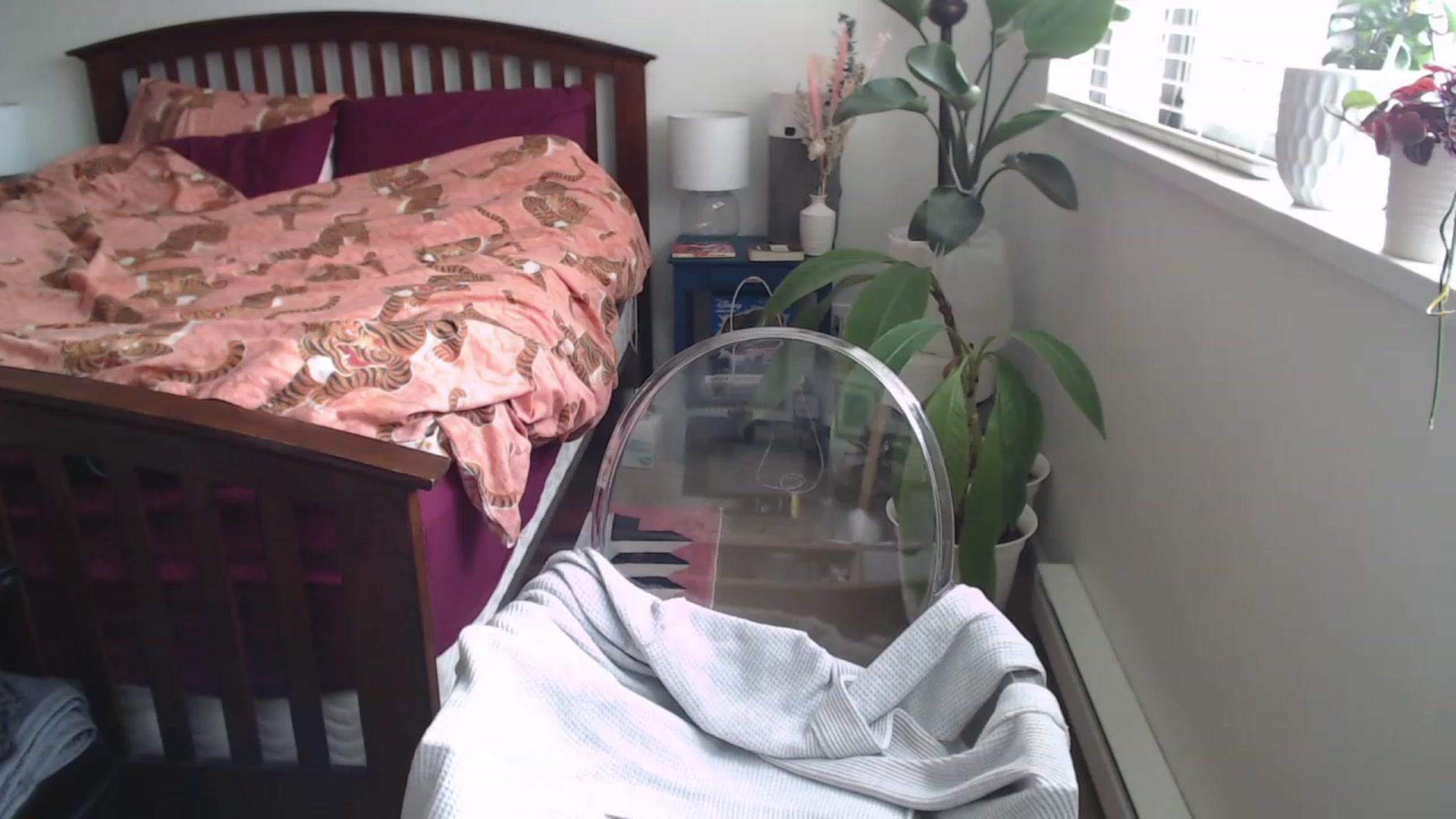 Gallery image thumbnail from AAAAAGHHHHHHH's myfreecams stream on, 06/19/2023, 02:30 image 11 of 20