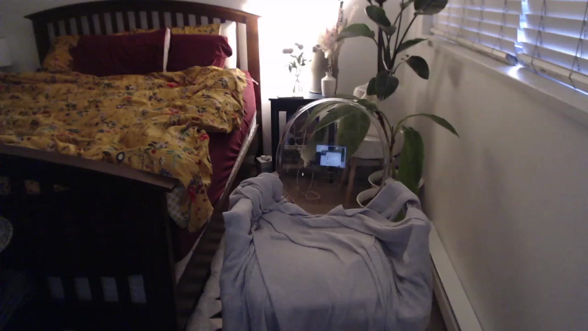Gallery image thumbnail from AAAAAGHHHHHHH's myfreecams stream on, 06/28/2023, 05:01 image 15 of 20