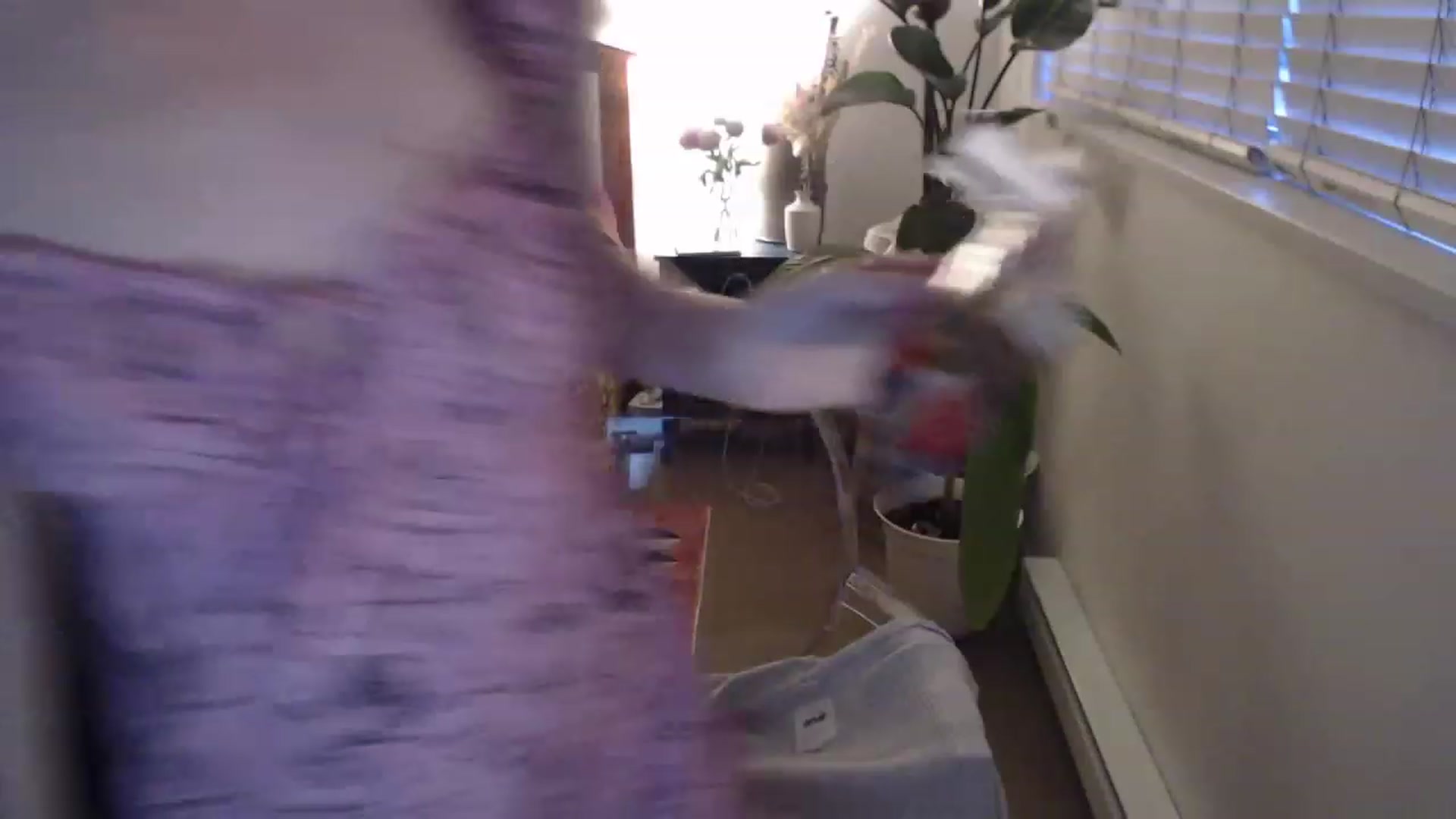 Gallery image thumbnail from AAAAAGHHHHHHH's myfreecams stream on, 06/29/2023, 04:59 image 12 of 20